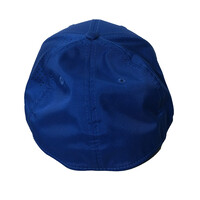NE 3930 Primary W Royal Flex Cap