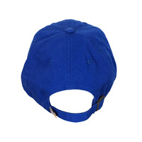 '47 CFL WBB Royal Clean Up