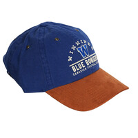 47 Windham Suede Clean Up Cap