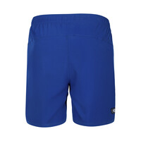 NE SL Men's Royal Flex Shorts