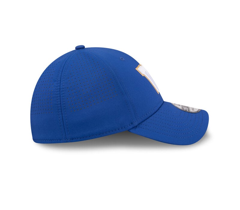 NE CFL26 SL 3930 WINBLU  OTC