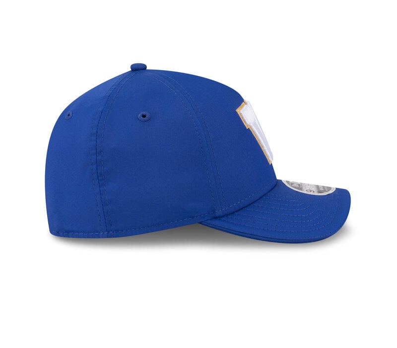 NE CFL26 SL 940MCAF WINBLU  OTC