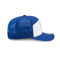 NE CFL26 SL 970SP WINBLU  OTC