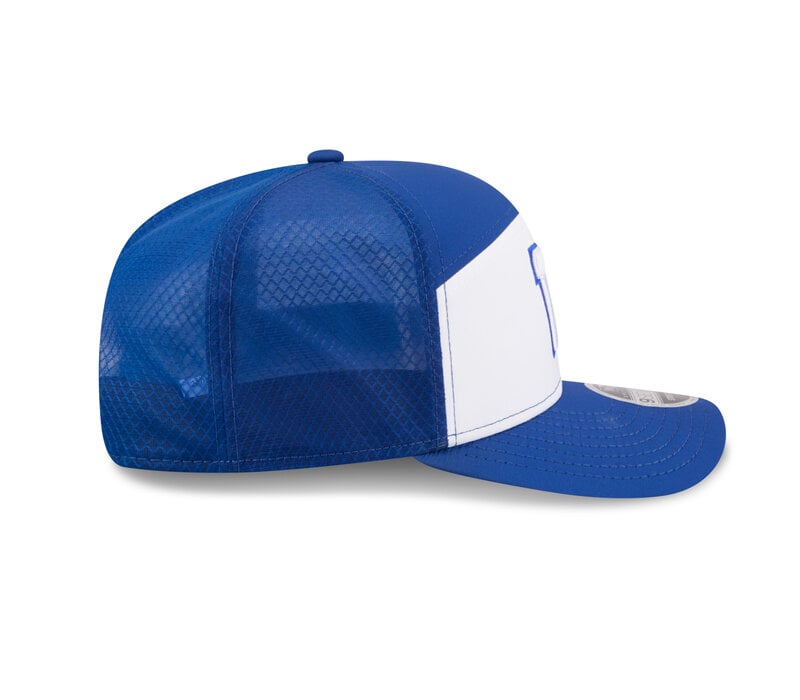 NE CFL26 SL 970SP WINBLU  OTC