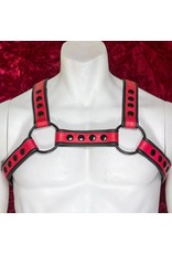 Amici Amici 2 Tone H Harness Blk Hardware - Various Colors