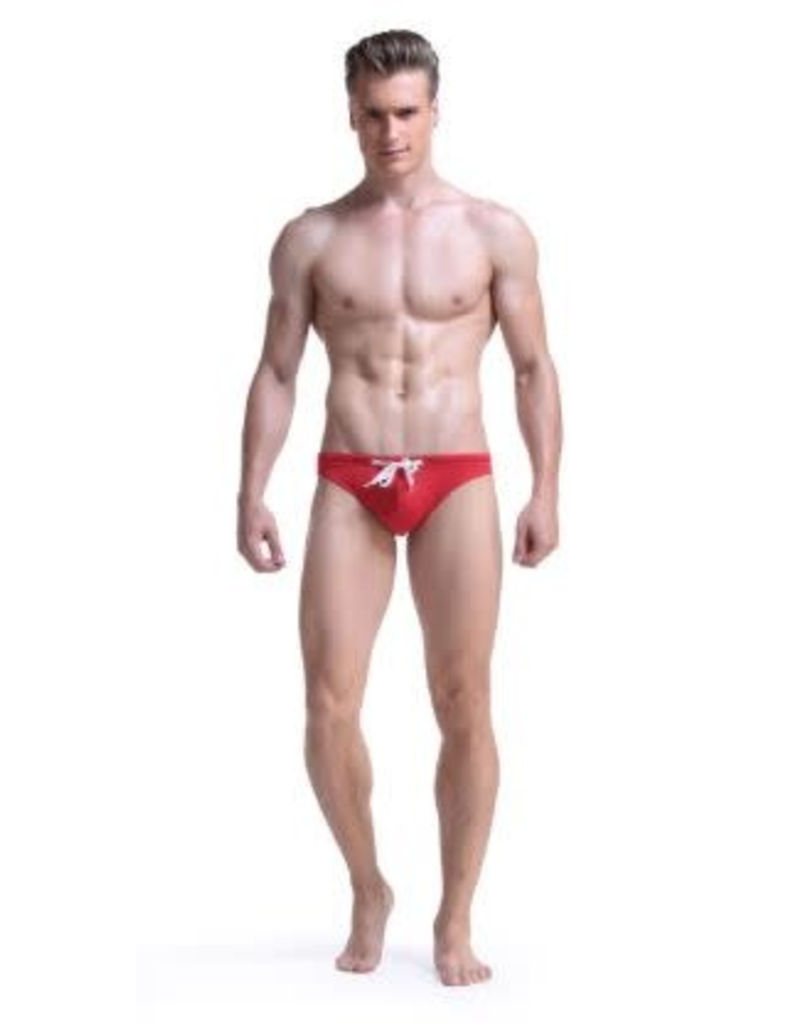 Men Swimsuit Briefs/Various Colors