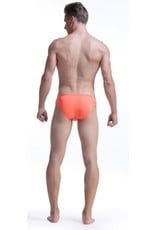 Men Swimsuit Briefs/Various Colors