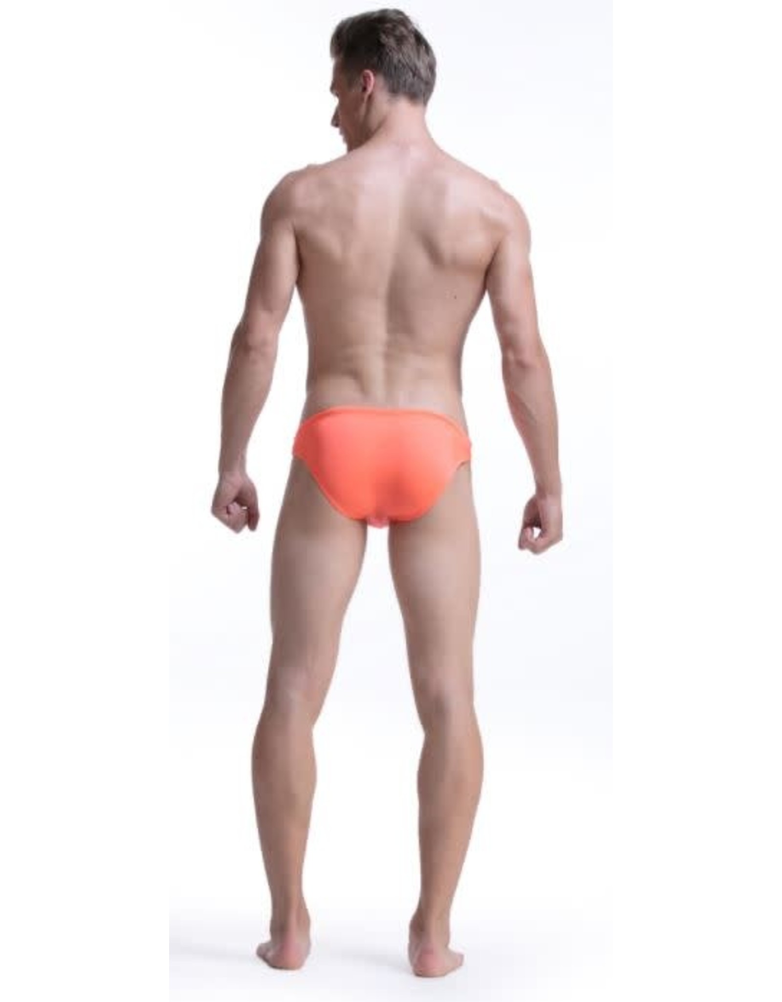 Men Swimsuit Briefs/Various Colors