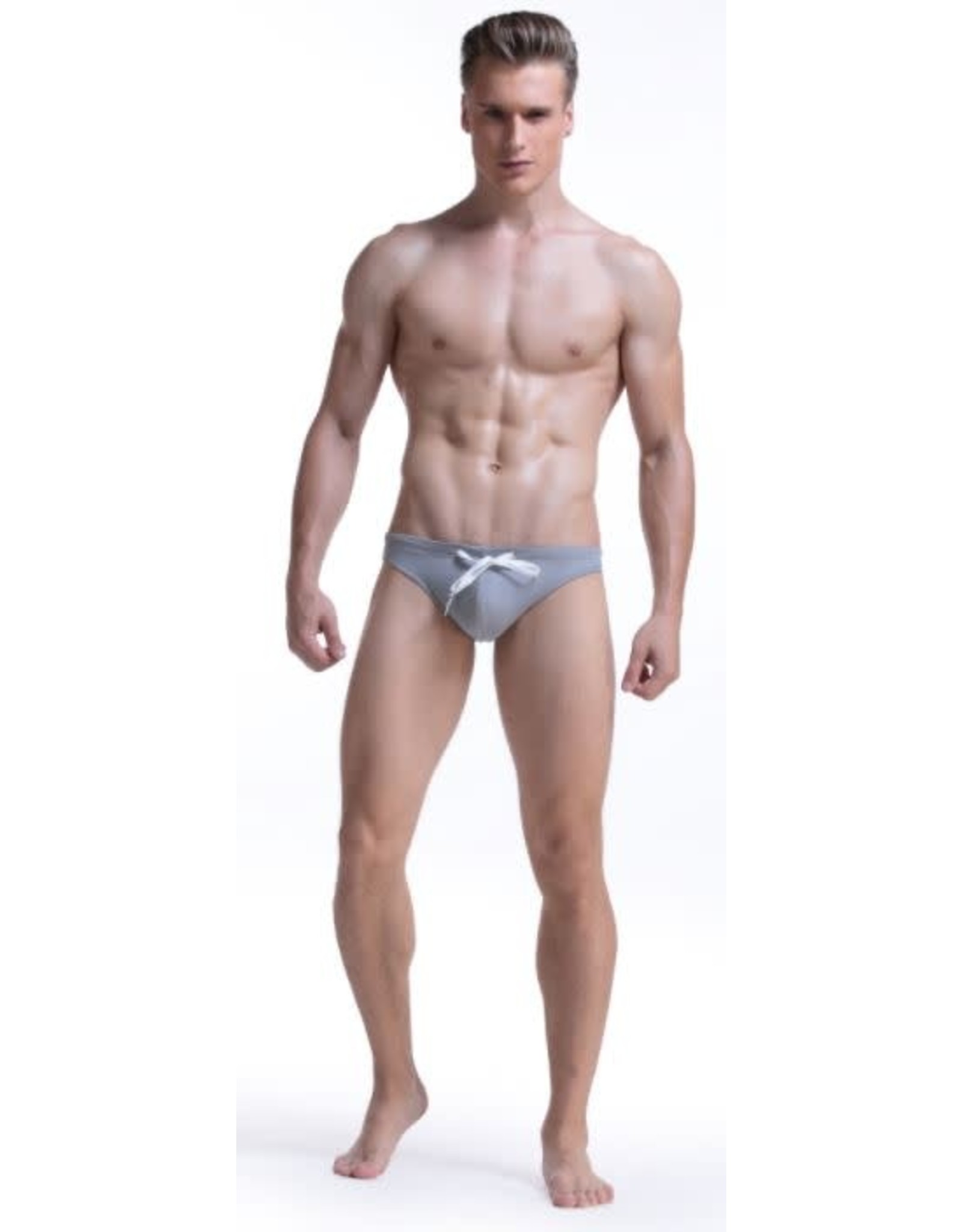 Men Swimsuit Briefs/Various Colors