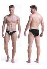 Men Swimsuit Briefs/Various Colors