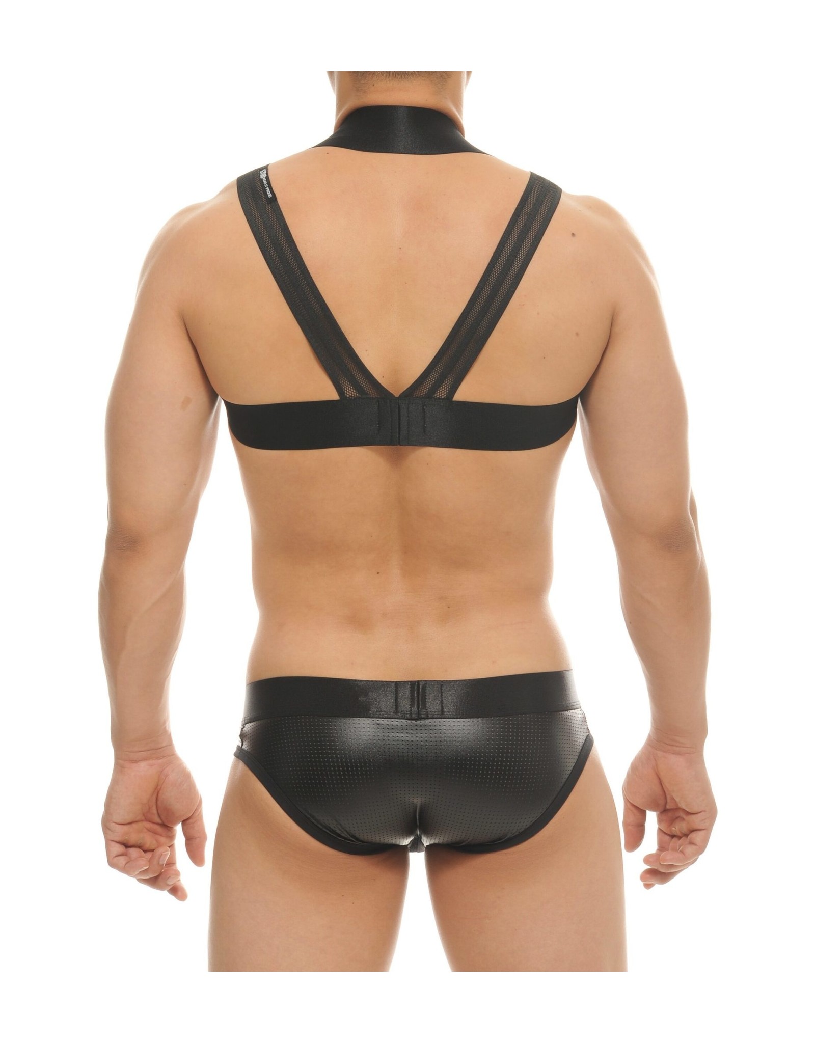 STUD STUD DEFY HARNESS