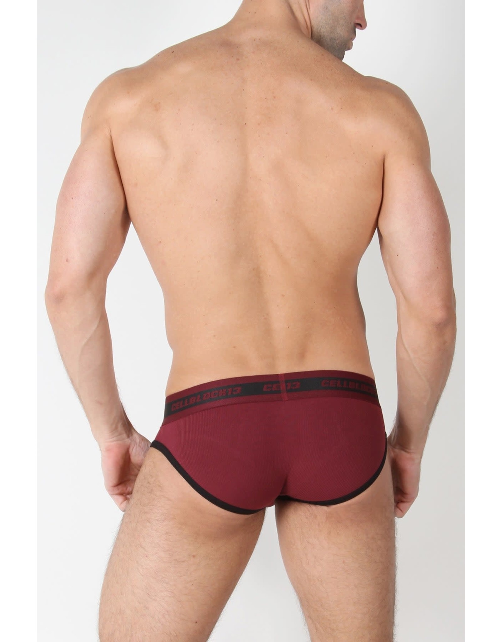 CellBlock13 CellBlock13 Rascal Low Rise Brief