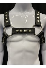 Amici Amici H Harness Black and Silver