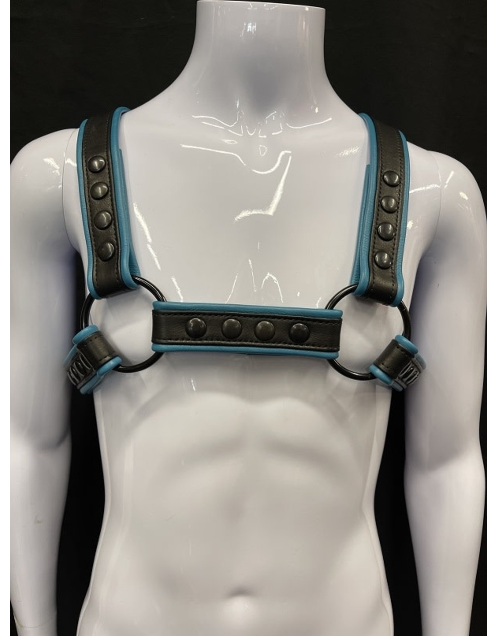 Amici Amici 2 Tone H Harness Blk Hardware - Various Colors