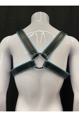 Amici Amici 2 Tone H Harness Blk Hardware - Various Colors