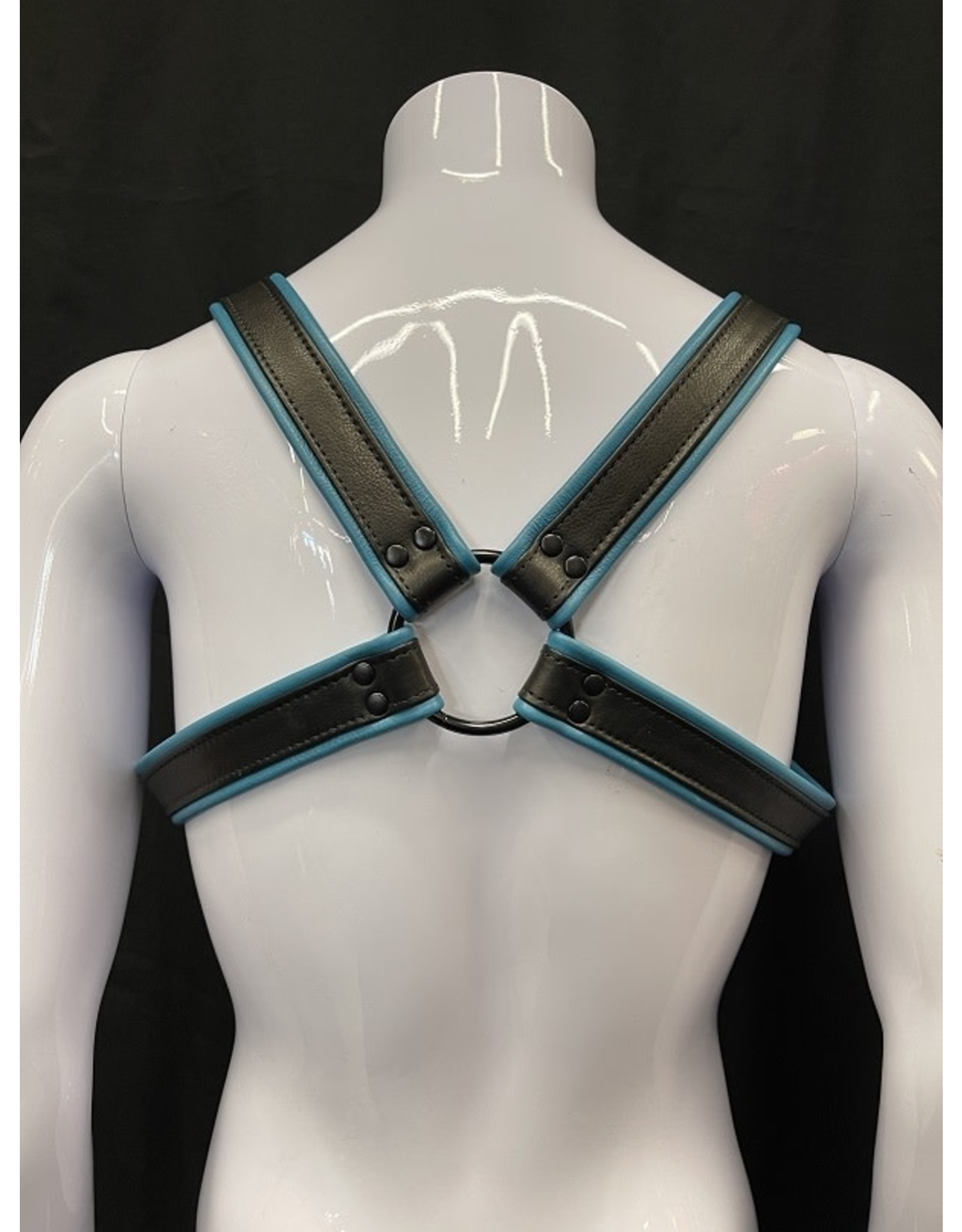 Amici Amici 2 Tone H Harness Blk Hardware - Various Colors