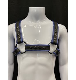 Amici Amici 2 Tone H Harness - Various Colors