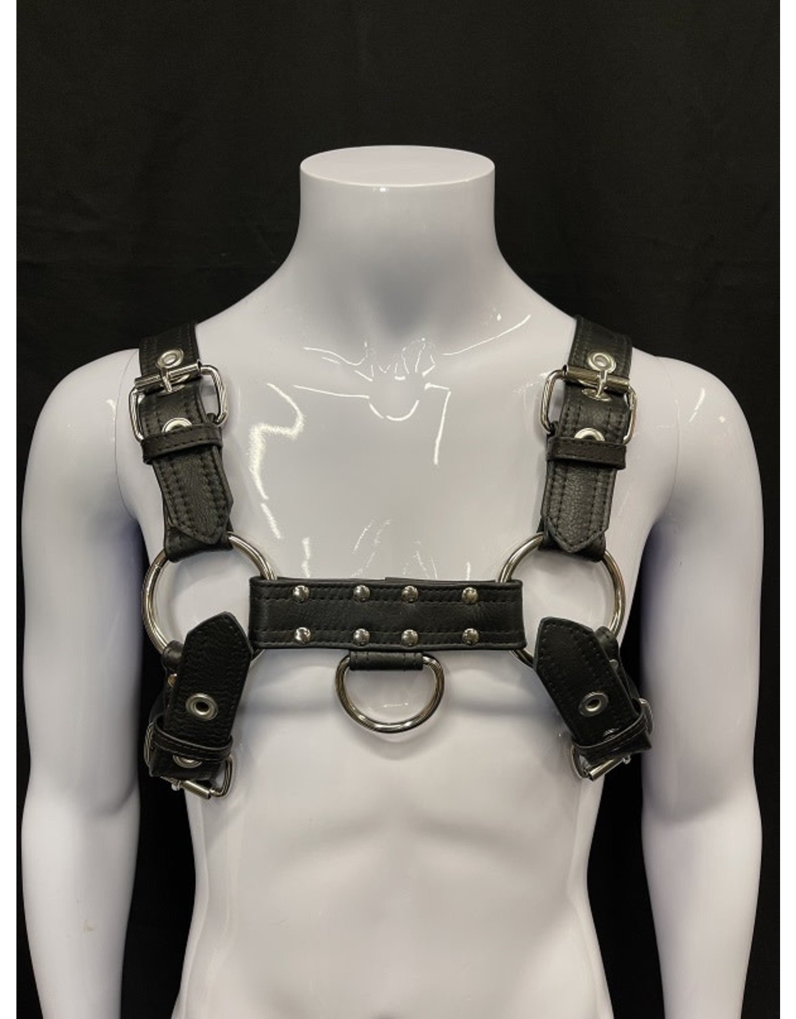 Amici Amici Aussie Bulldog Harness