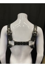 Amici Amici Aussie Bulldog Harness