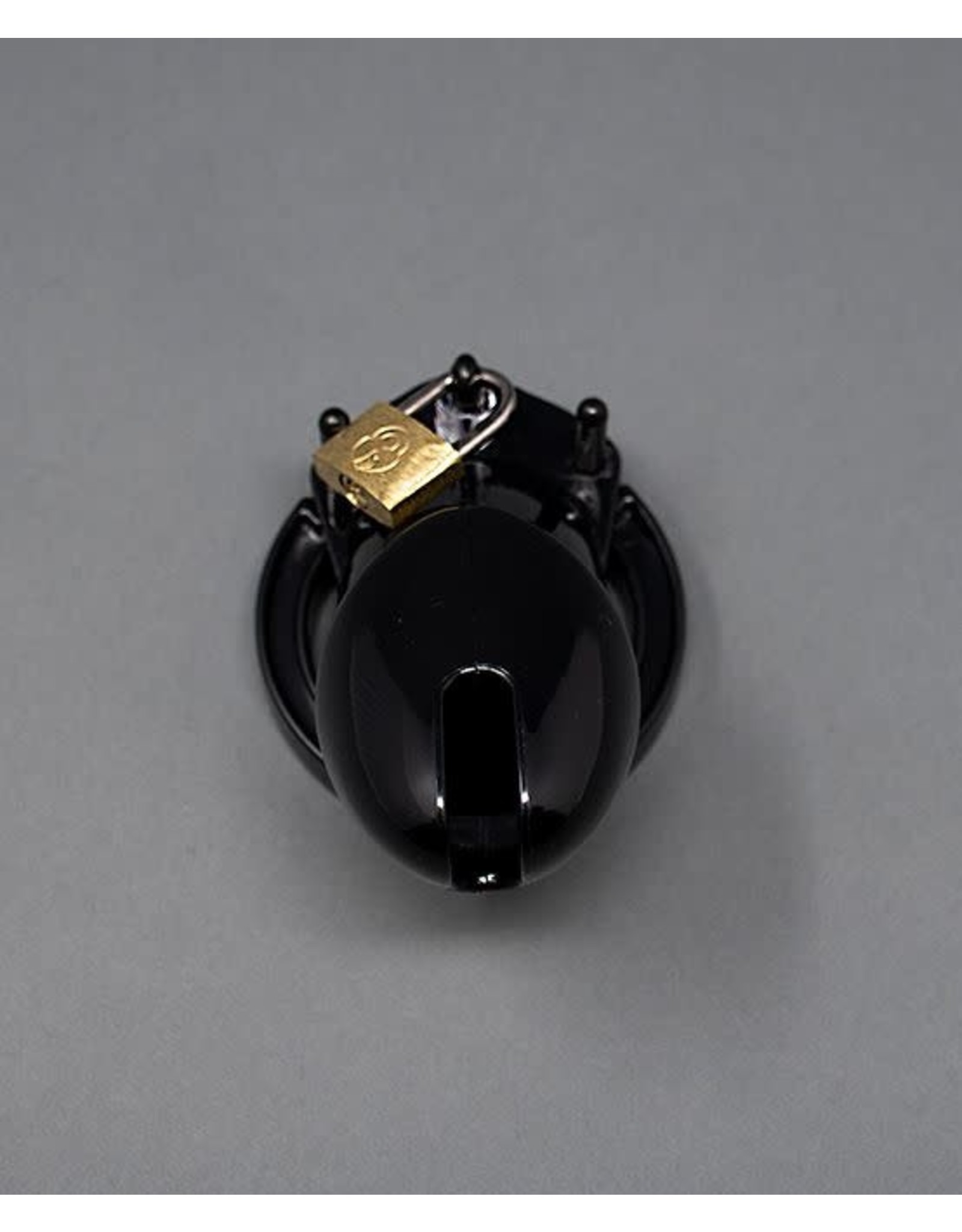 Trophy Boy Trophy Boy Small  Chastity Cock Cage