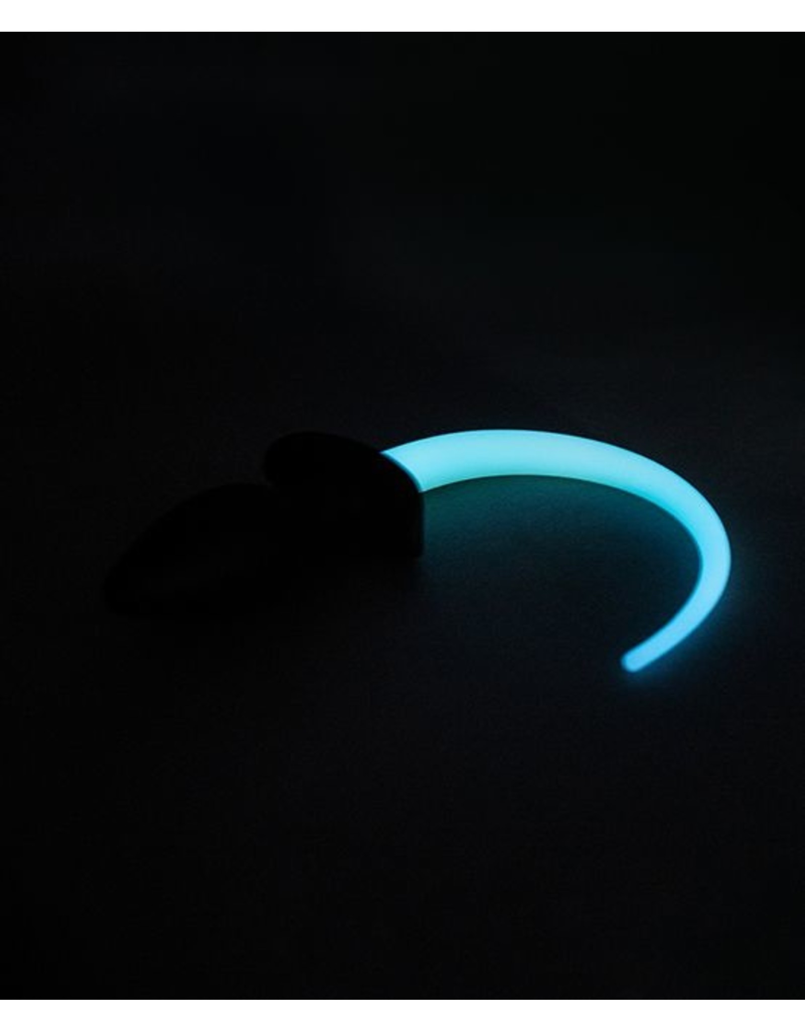 Andrew Christian Glow In The Dark Pig Plug GET BOOKED