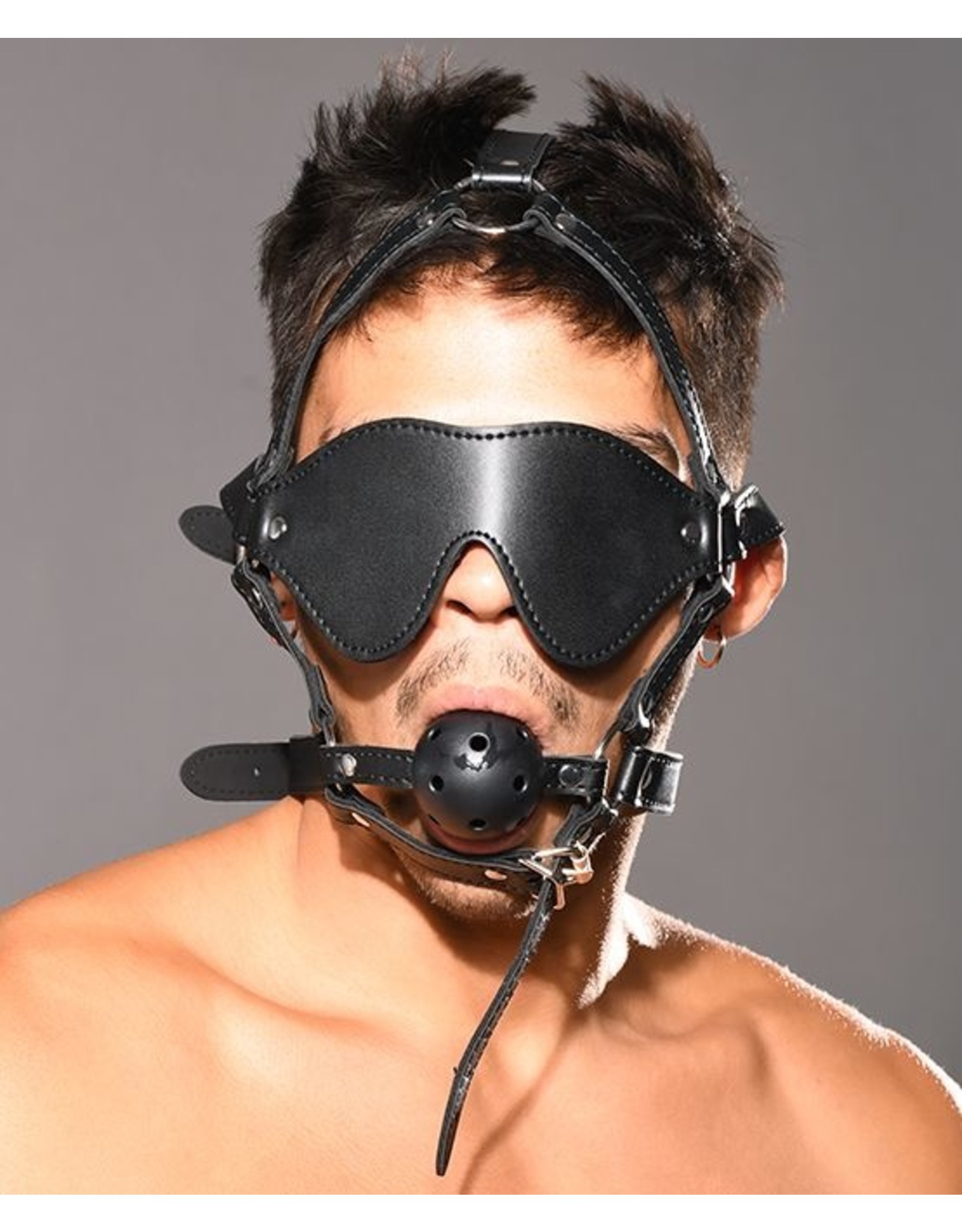 Trophy Boy Trophy Boy Head Harness, Blindfold, & Gag