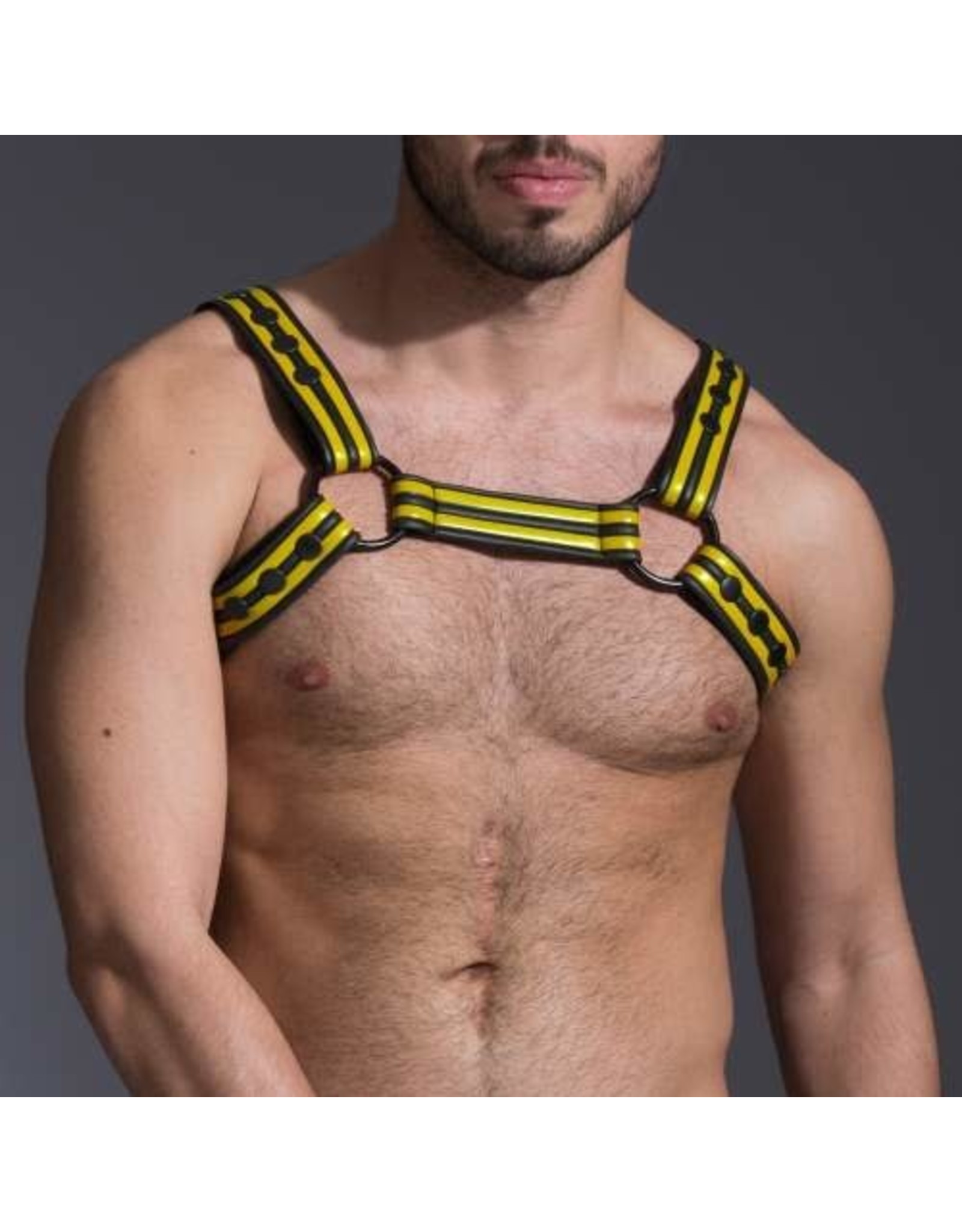 Neoprene Racer Bulldog