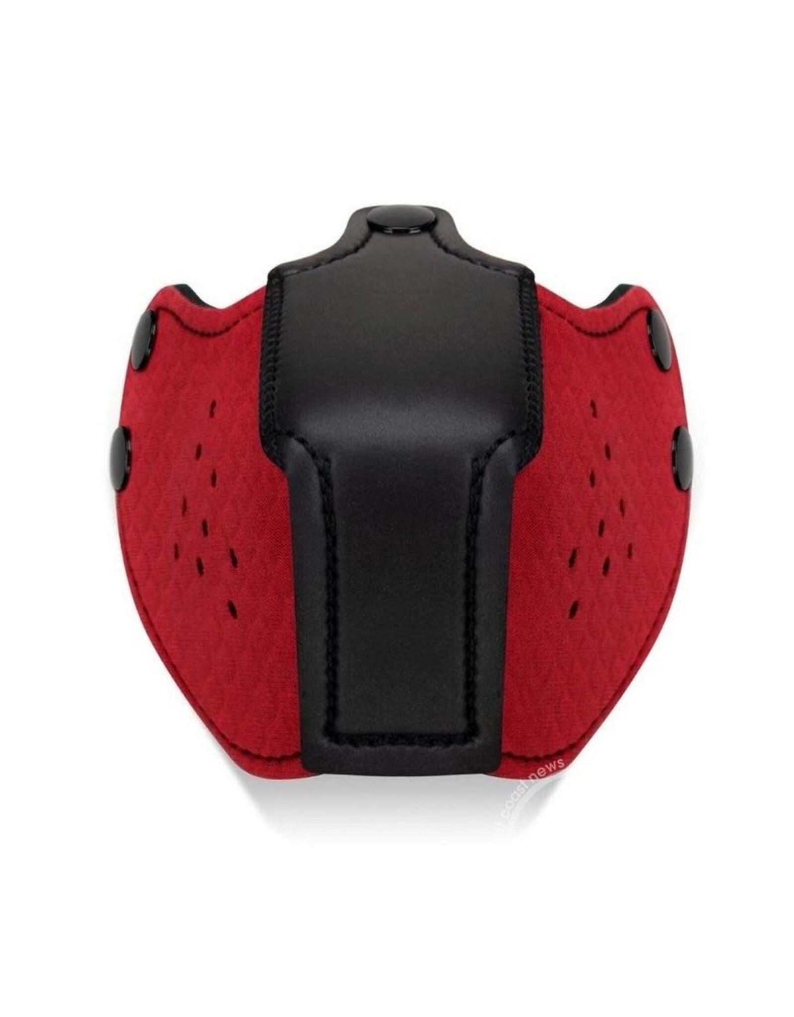 Prowler Prowler Red Puppy Muzzle