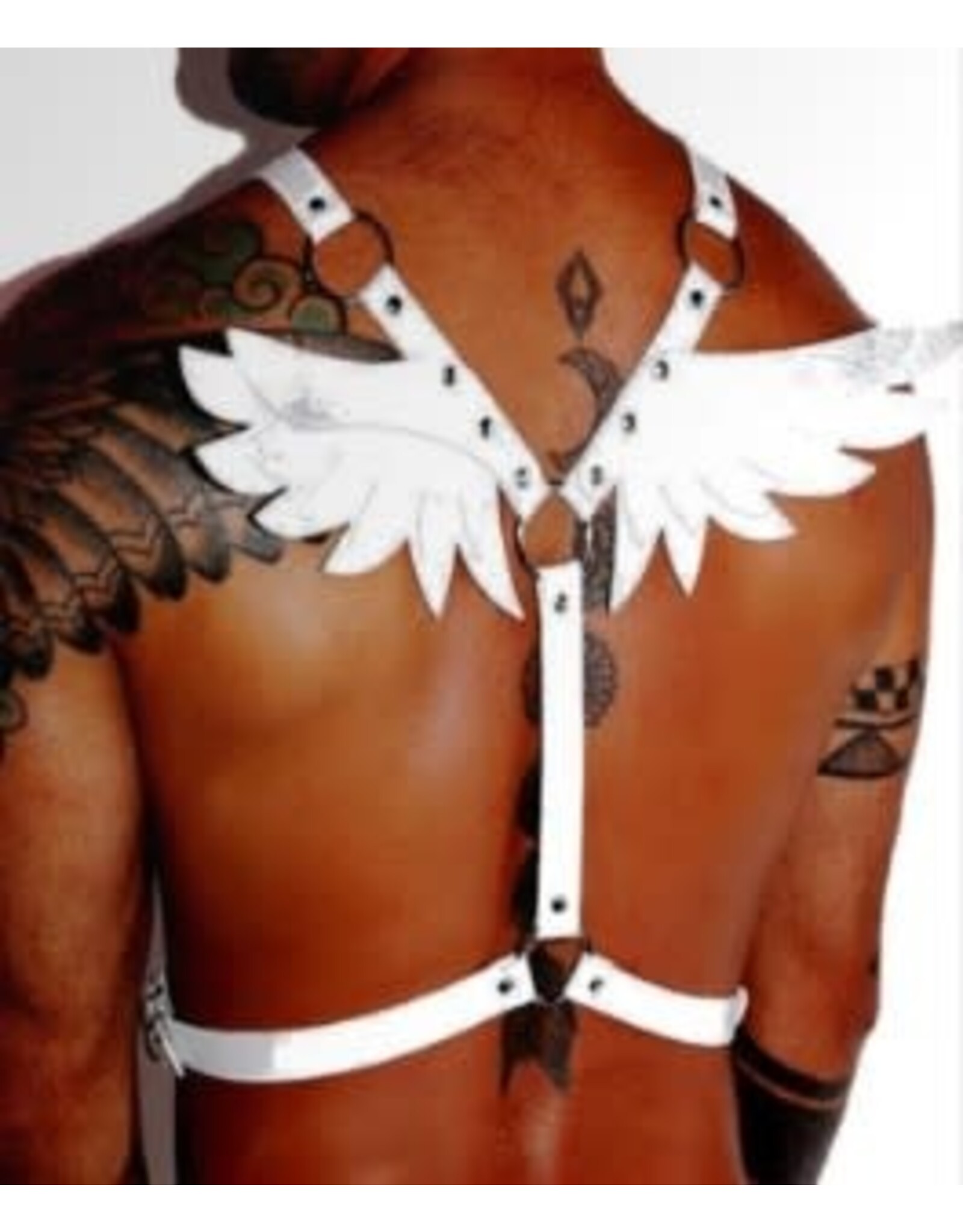 Knob's Knob's Wings Harness