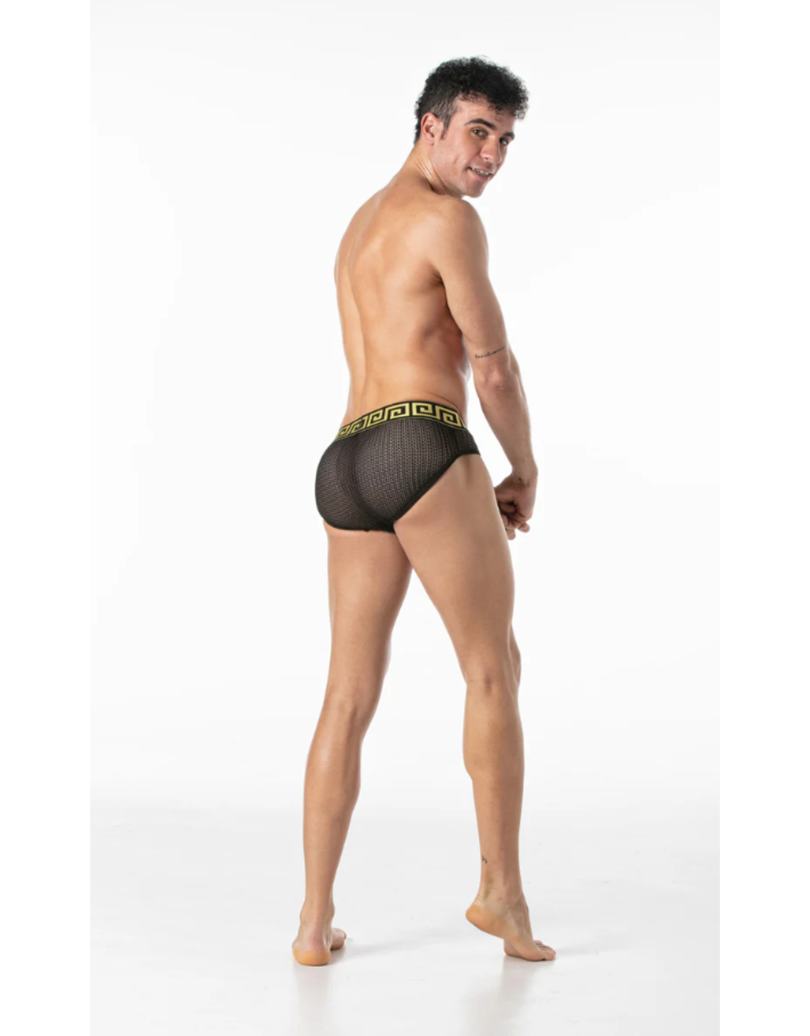 Leader Leader Invictus Mesh Brief