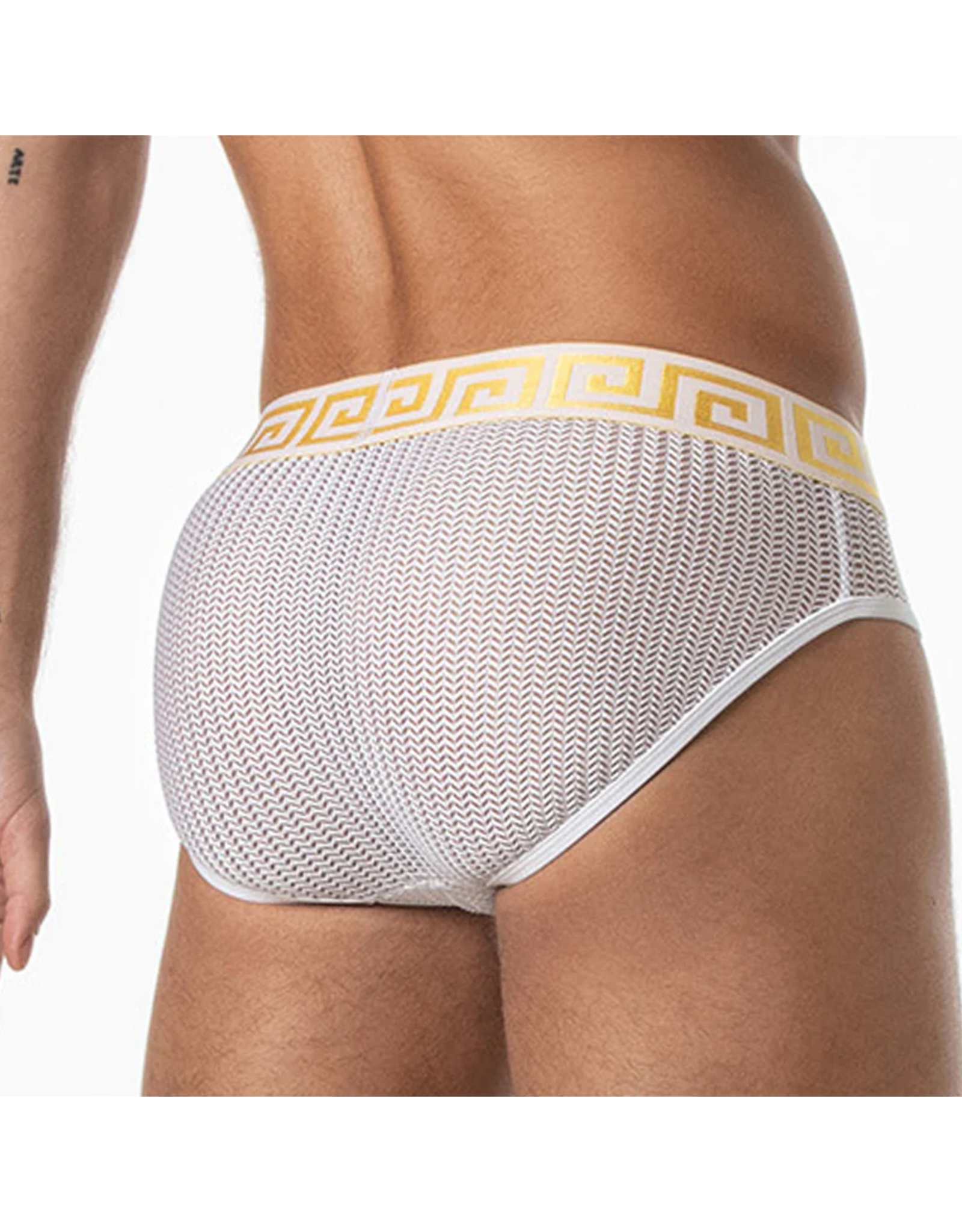 Leader Leader Invictus Mesh Brief