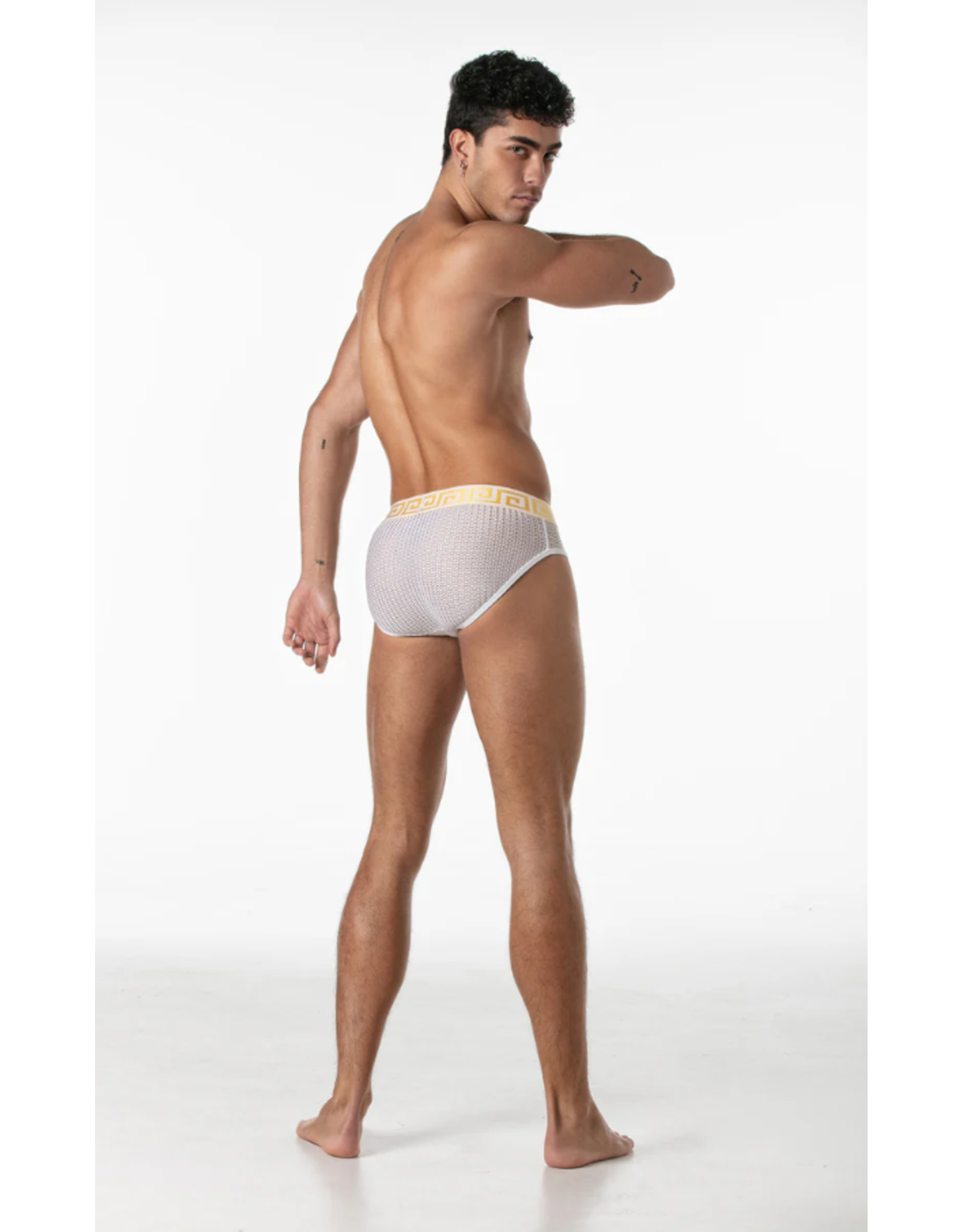 Leader Leader Invictus Mesh Brief
