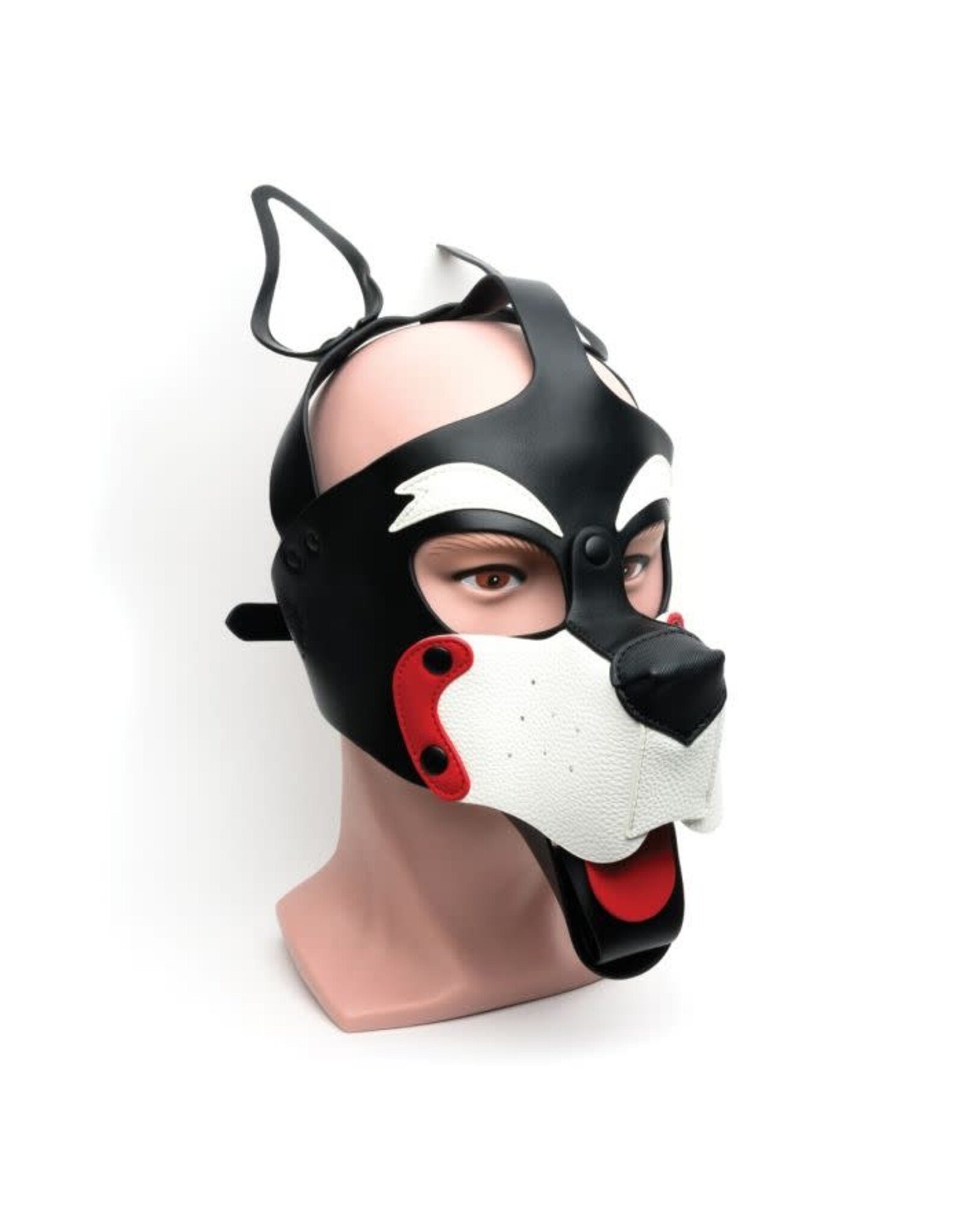 665 665 Bondage Pup Hood