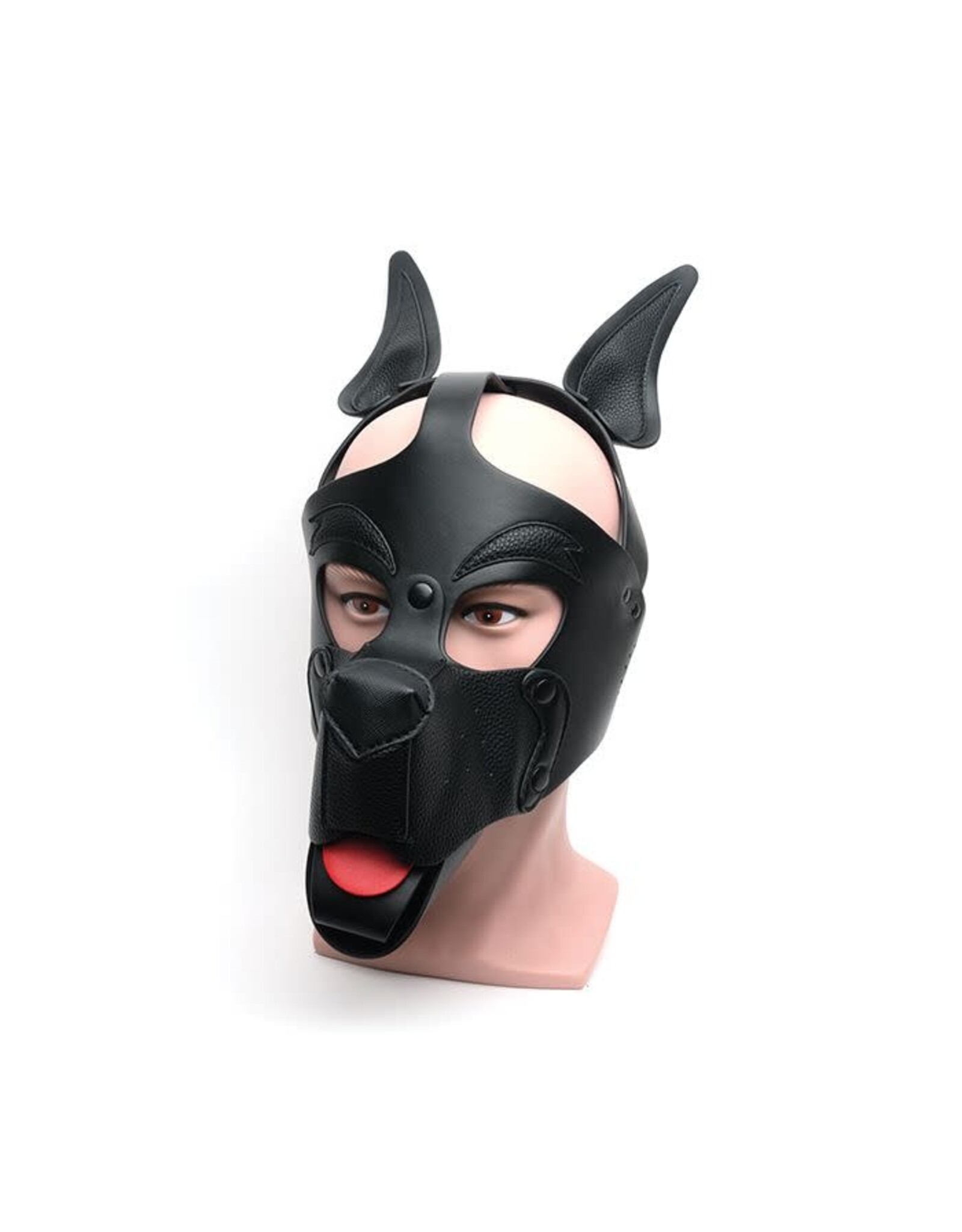 665 665 Bondage Pup Hood