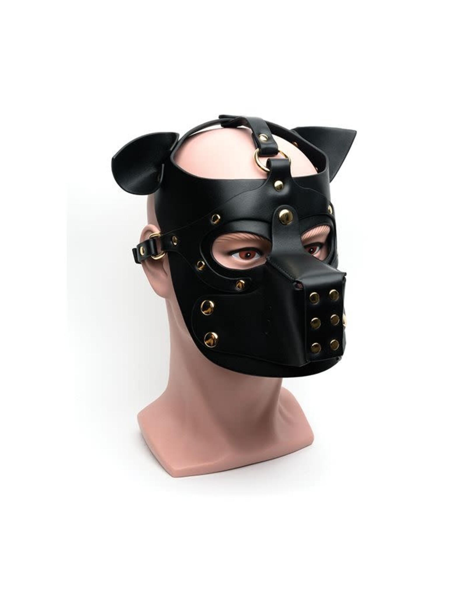 665 665 Bondage Pup Hood