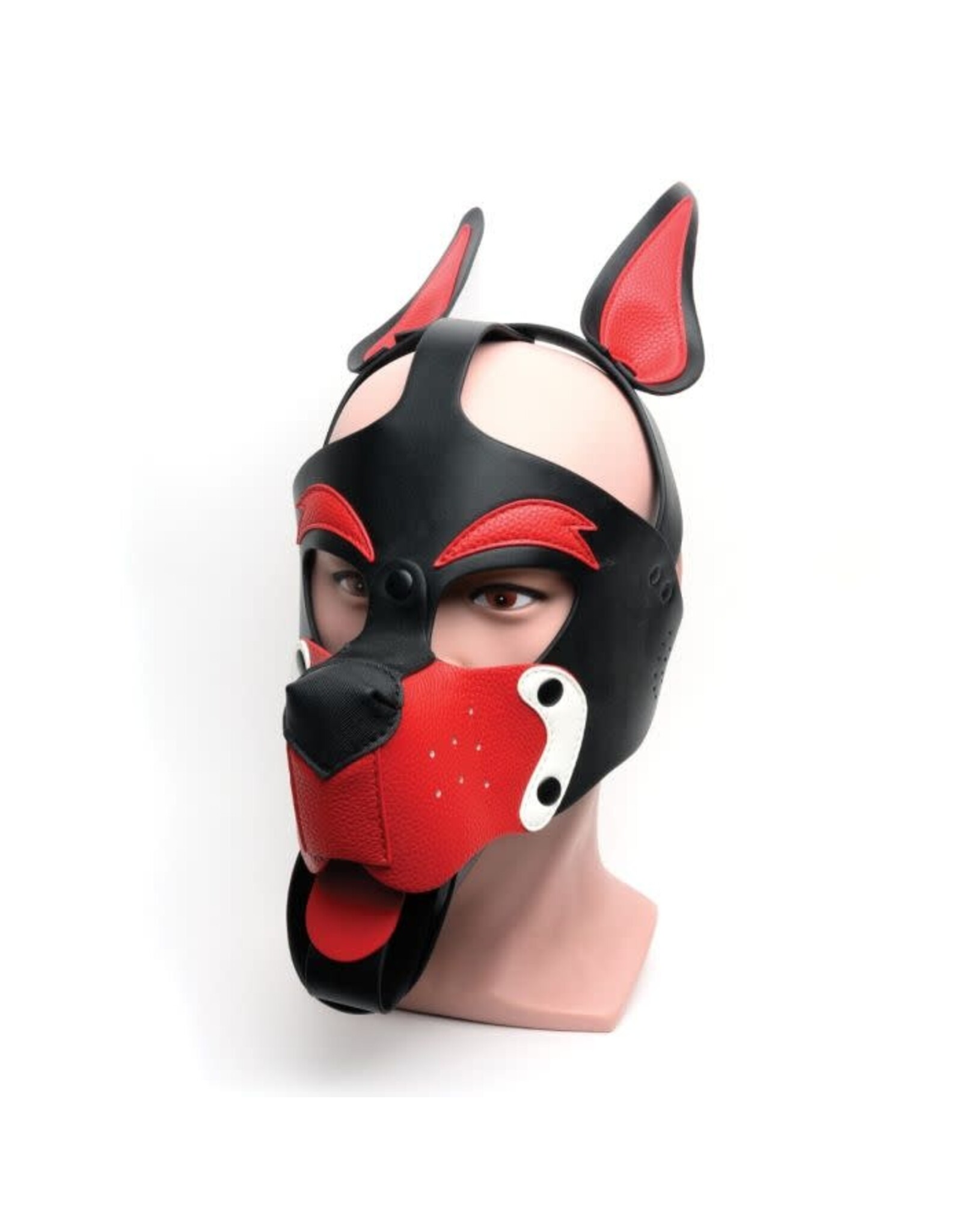665 665 Bondage Pup Hood