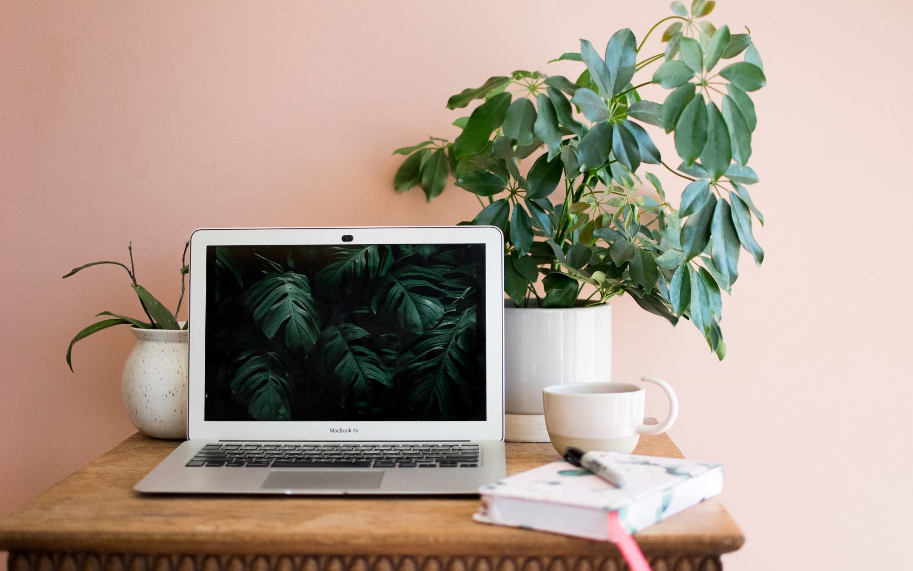 The Benefits of Plants in the Home (and in Your Home Office)