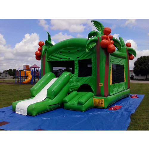 Bounce House Rental Bounce House Rental