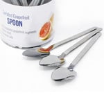 Danesco Course  Serration Grapefruit Spoon, Stainless Steel, 7"