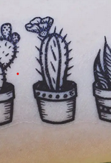 Wink Potted Cactus Temporary Tattoo
