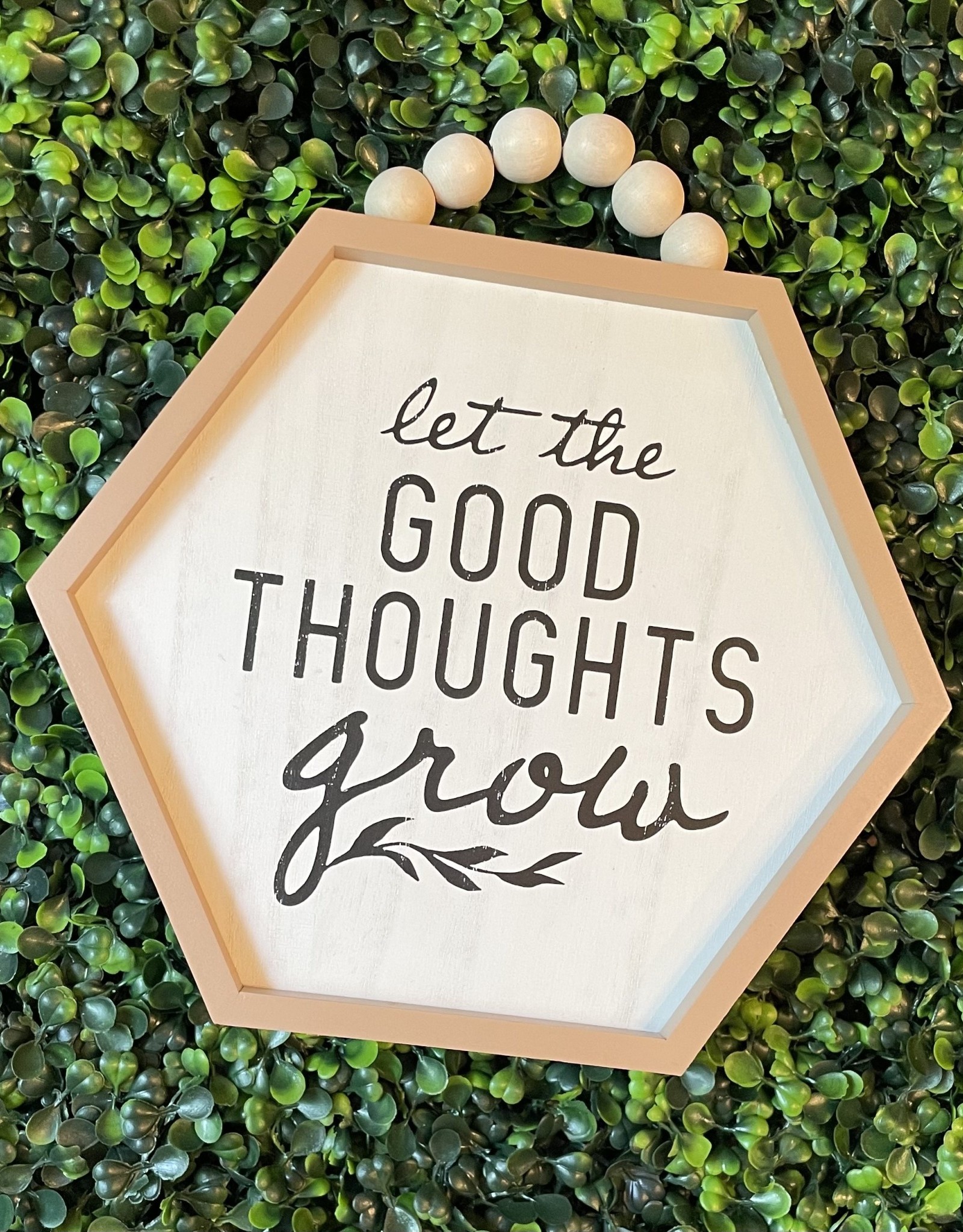 Wink Good Thoughts Grow Decor
