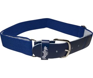 rawlings dog collar