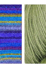 Butterfly Shawl Kit