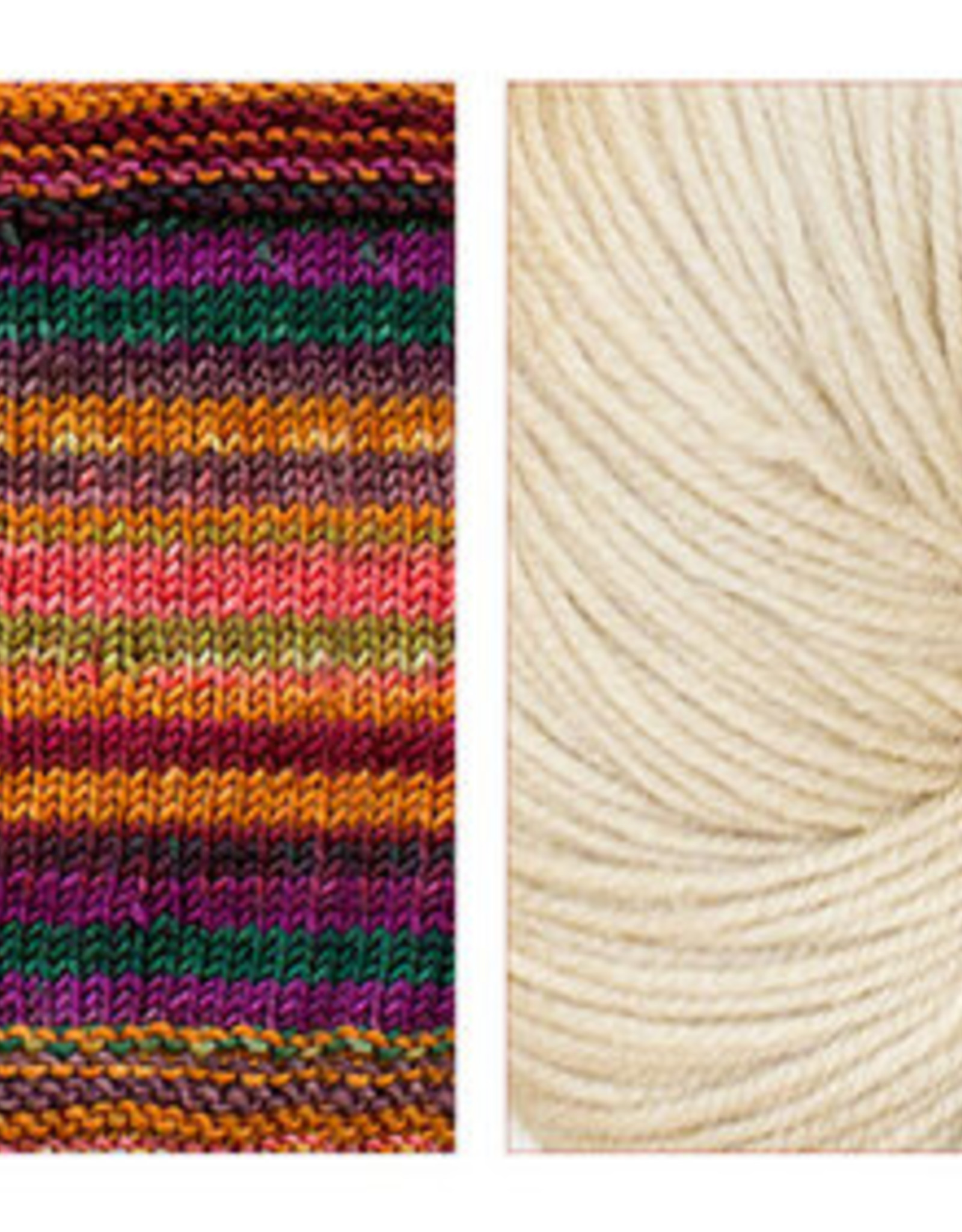 Butterfly Shawl Kit
