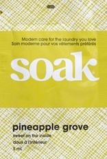 Soak Single Use Pineapple