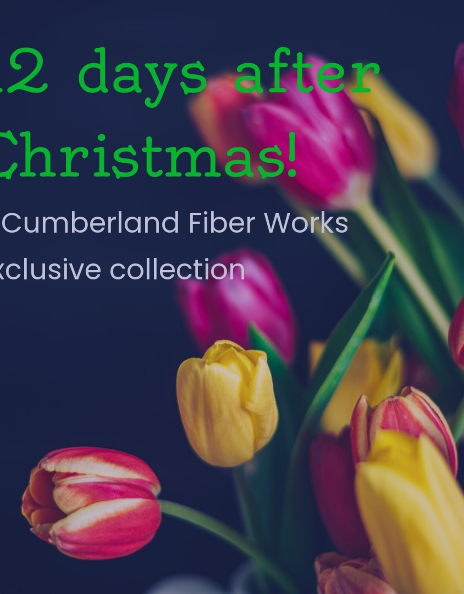 Cumberland Fiber Works 2023 12 Days of Christmas Kit