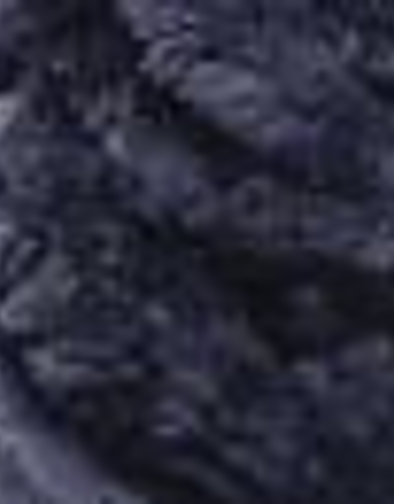 Velvet Plus