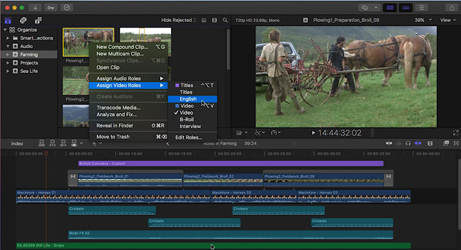 Apple Final Cut Pro X