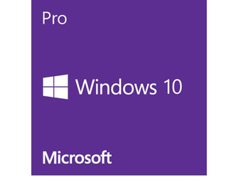 Apple Windows 10 Professional