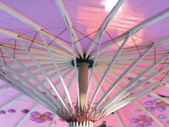 New Orleans-apple-rentals